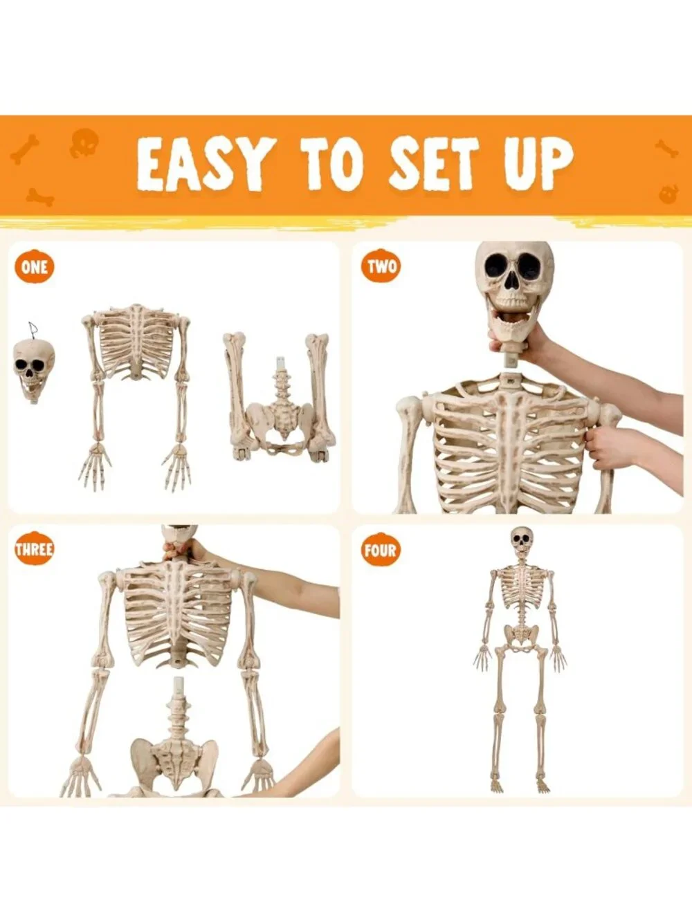 Life-Size 5FT Posable Skeleton Decor | Movable Joints for Halloween Parties